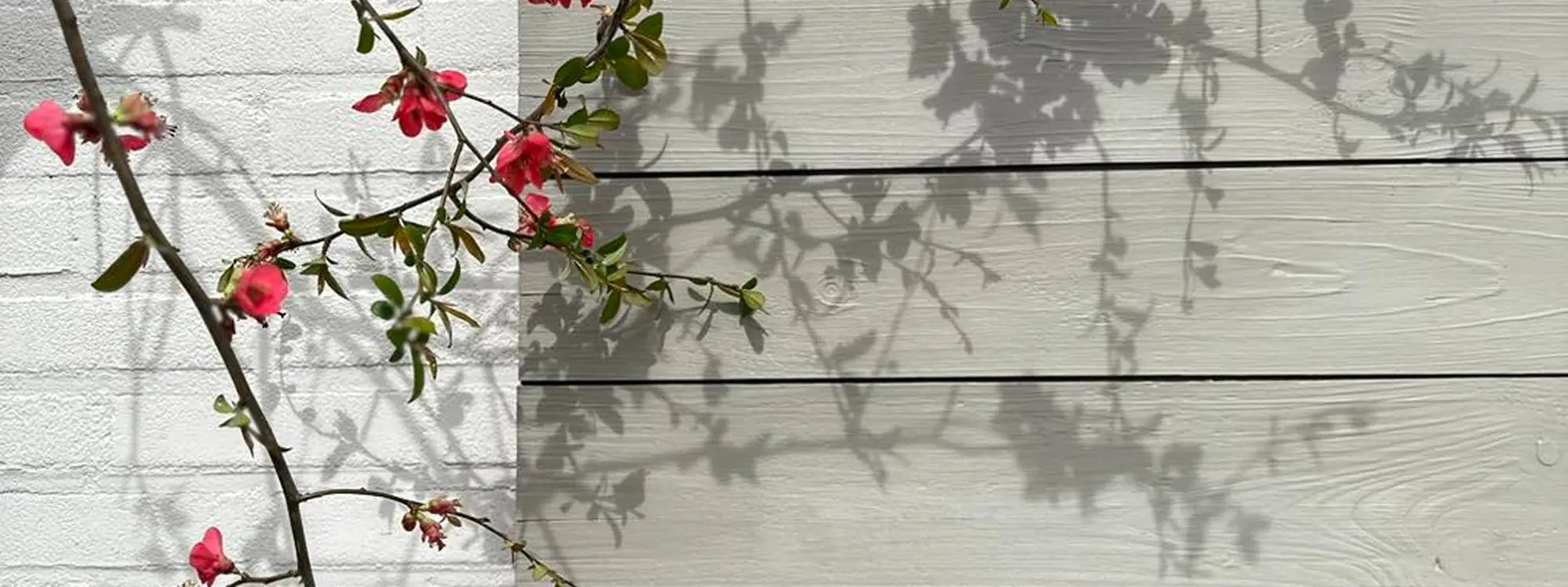 Outdoorlak Painting the past - Interieurenverf.nl