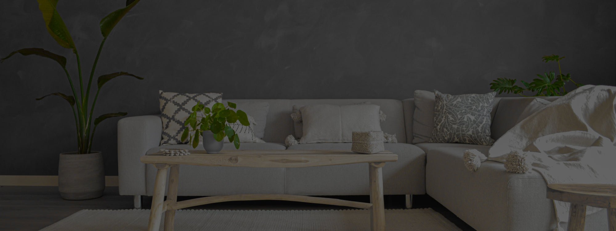 Wall Primer Pure & Original - Interieurenverf.nl