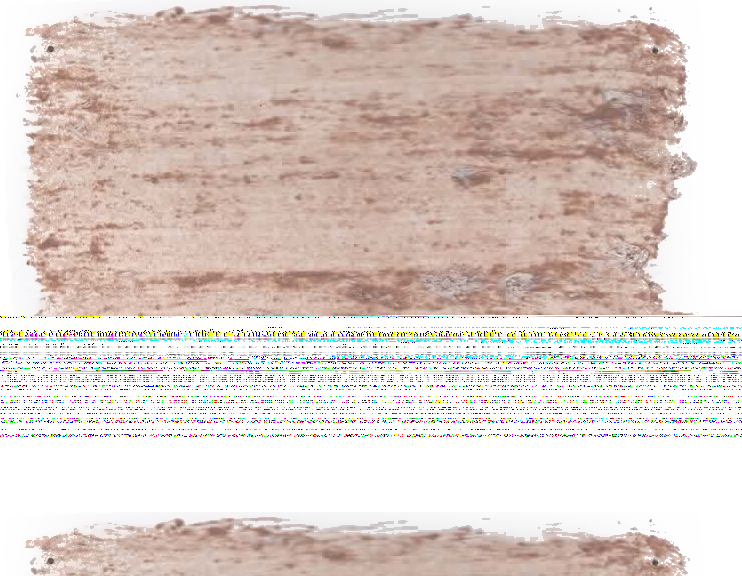 178. Instinct Betonlook Verf L'Authentique - Interieurenverf.nl