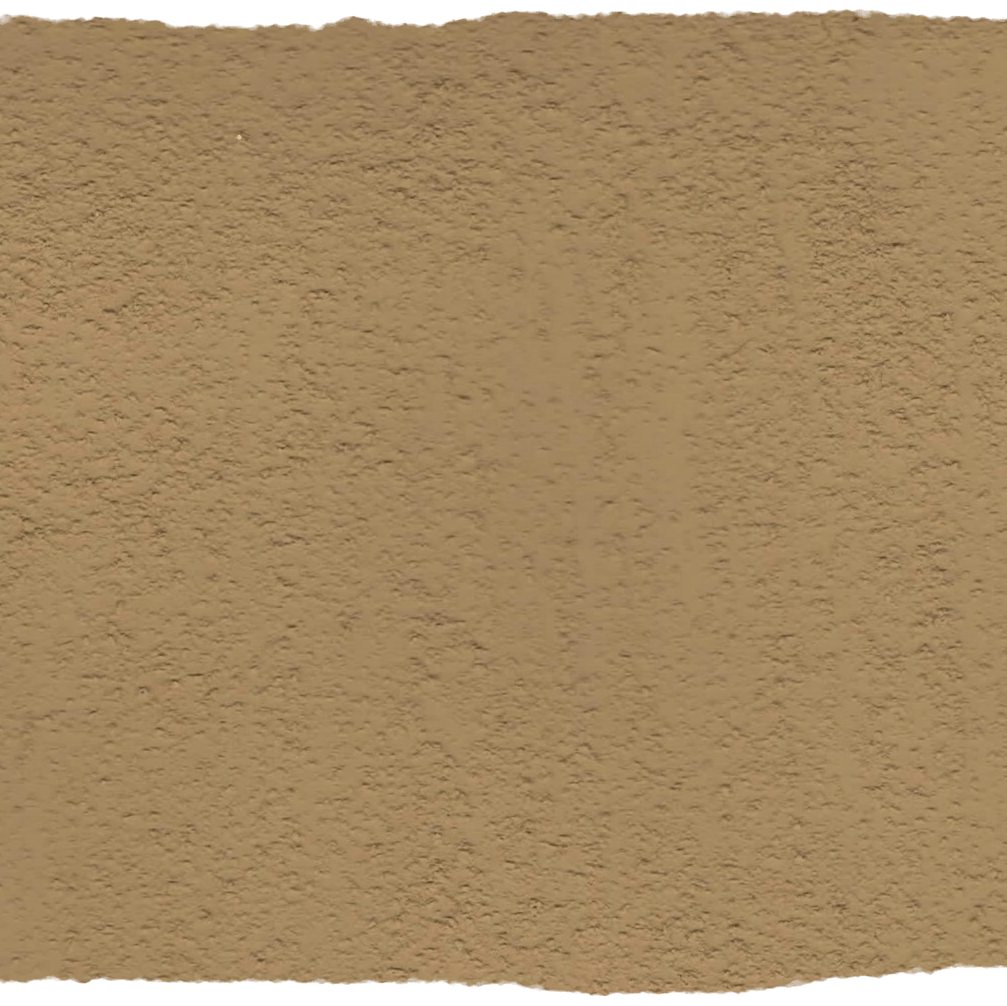 188. Wanderlust Terra Walls L'Authentique - Interieurenverf.nl