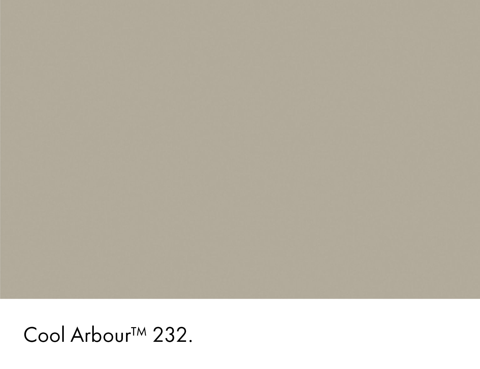 Cool Arbour Intelligent Matt Emulsion Little Greene