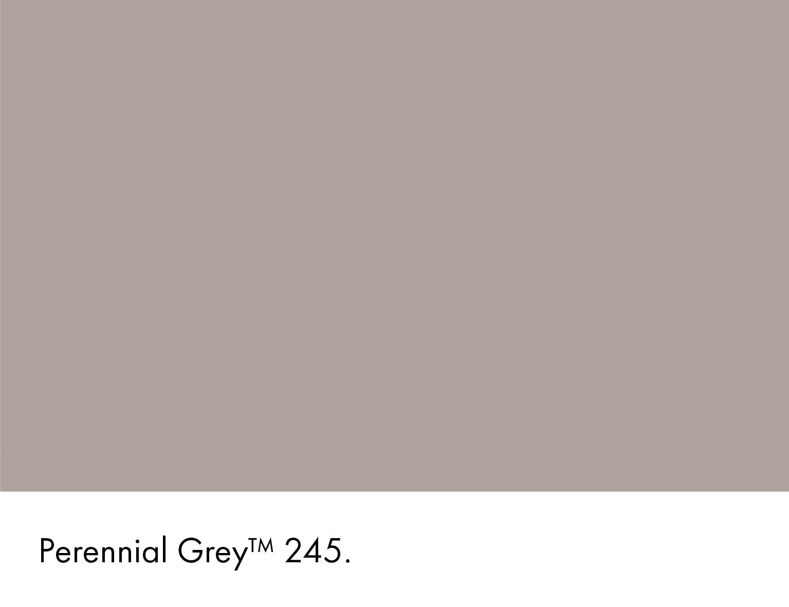 Perennial Grey Limewash Little Greene
