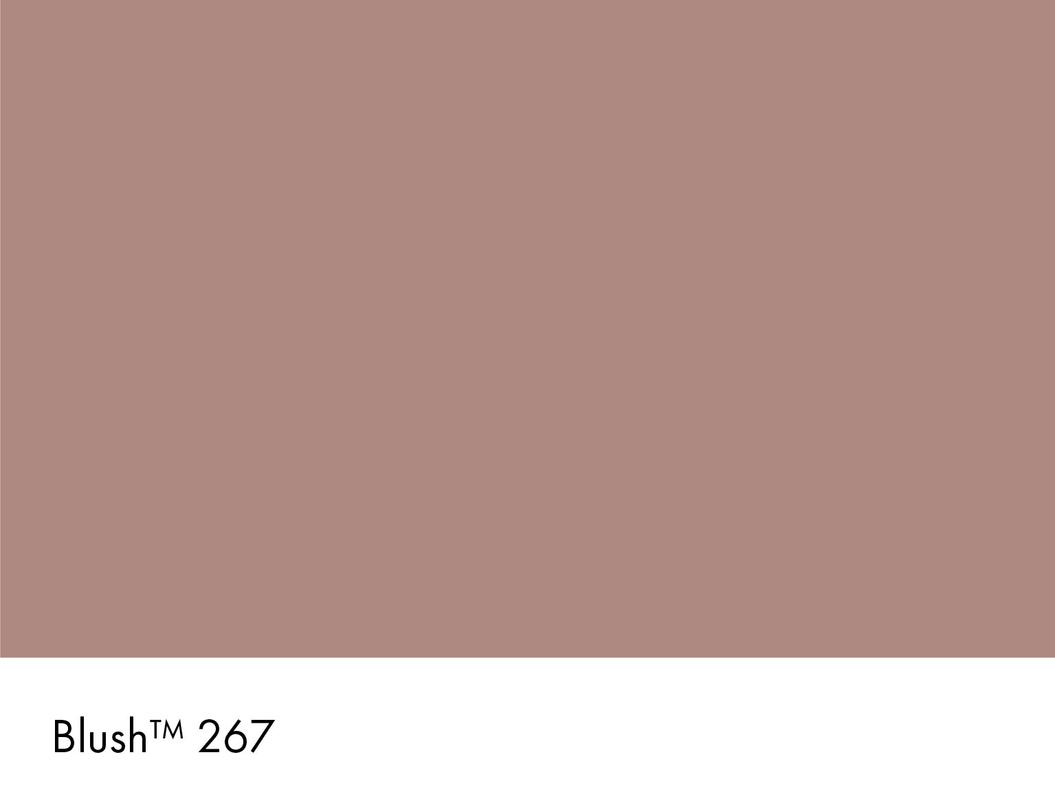 Blush Intelligent Matt Emulsion Little Greene