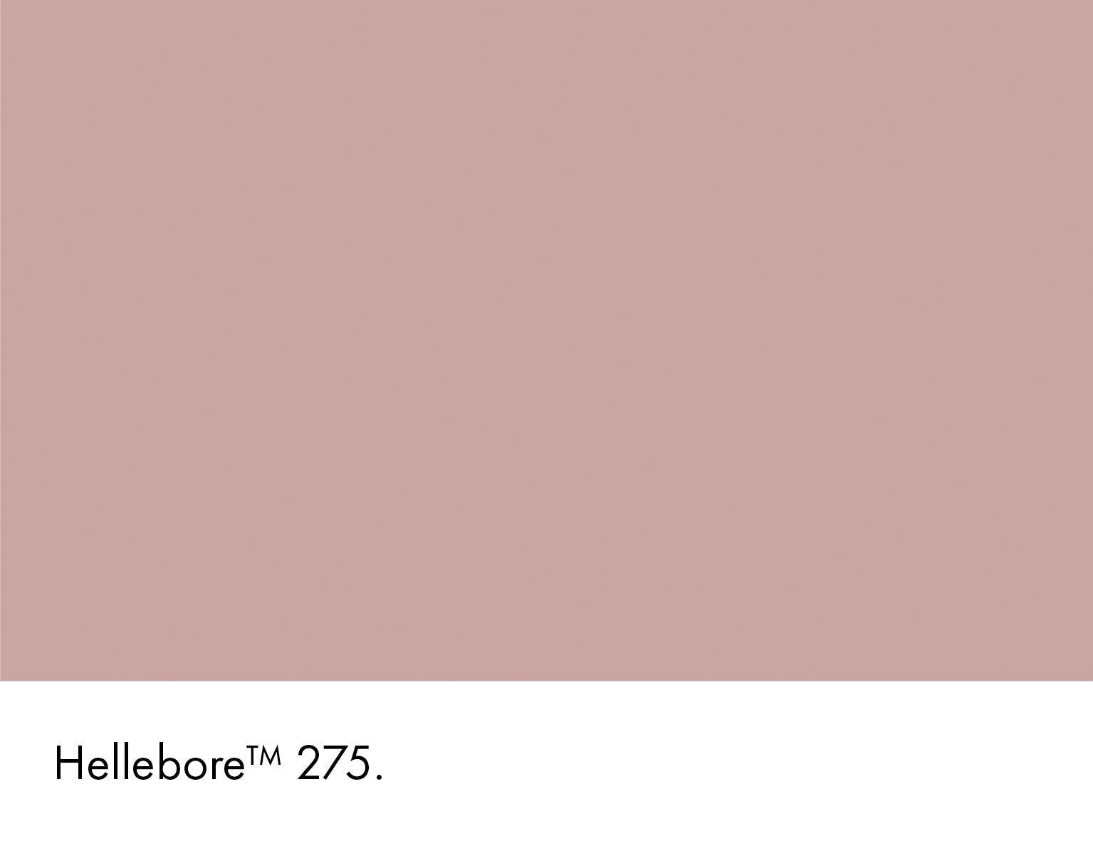 Hellebore Intelligent ASP Little Greene
