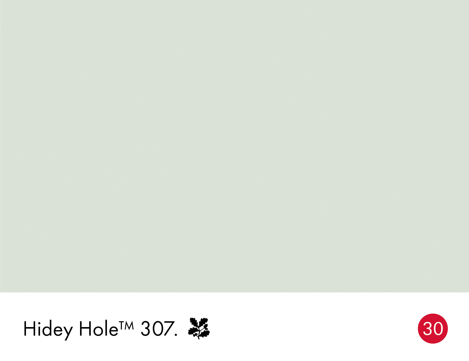 Hidey Hole Intelligent Floor Paint Little Greene