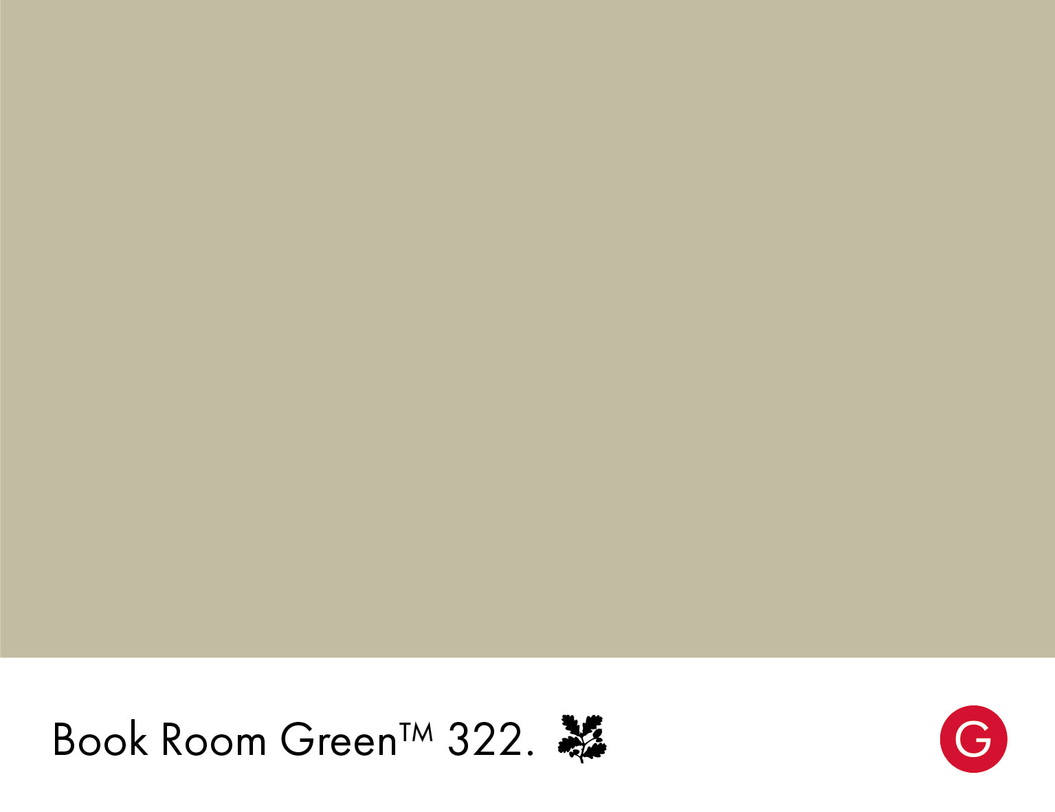 Book Room Green Absolute Matt Emulsion Little Greene