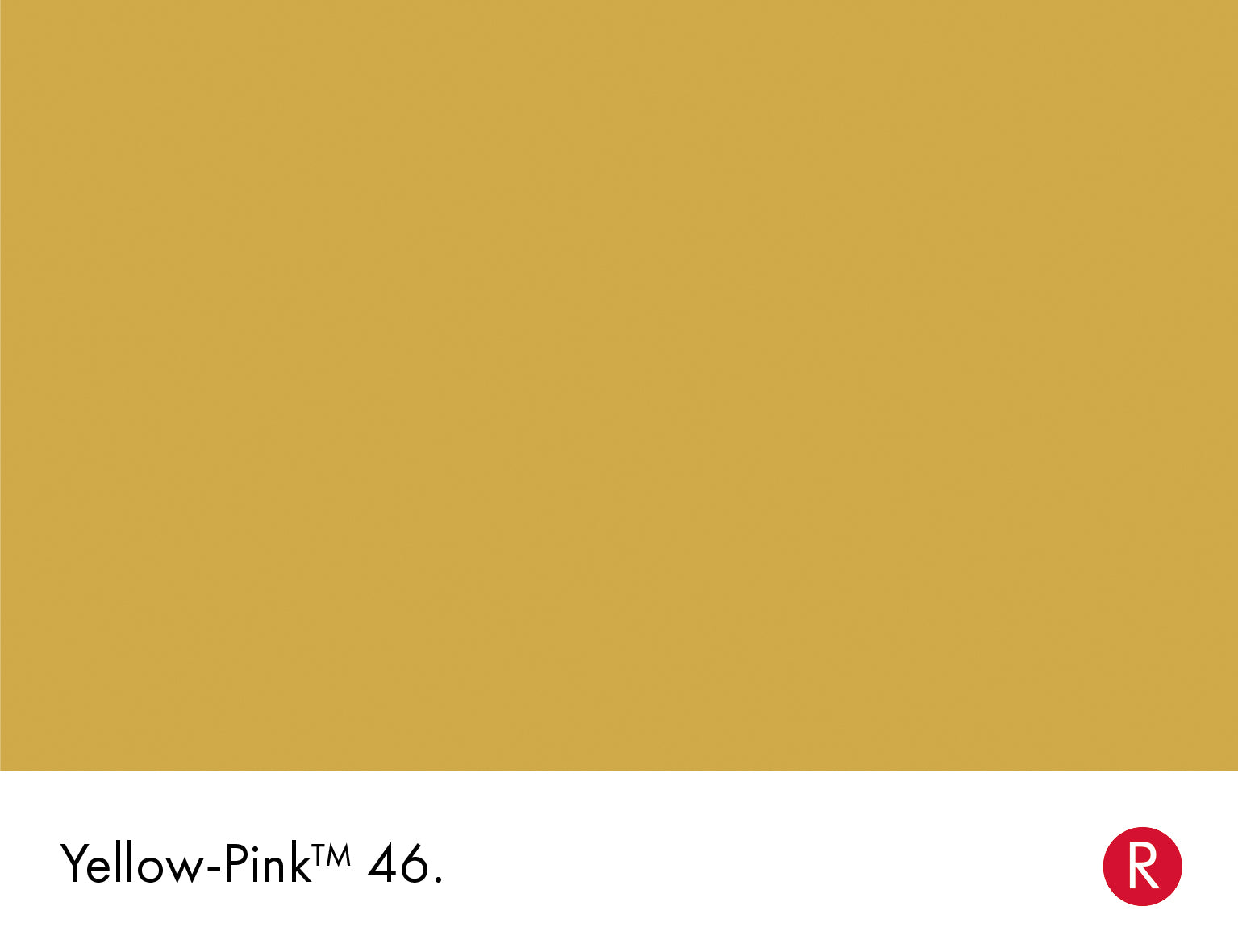 Yellow-Pink Intelligent ASP Little Greene