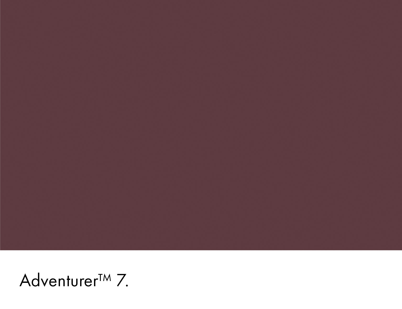 Adventurer Intelligent Masonry Paint Little Greene