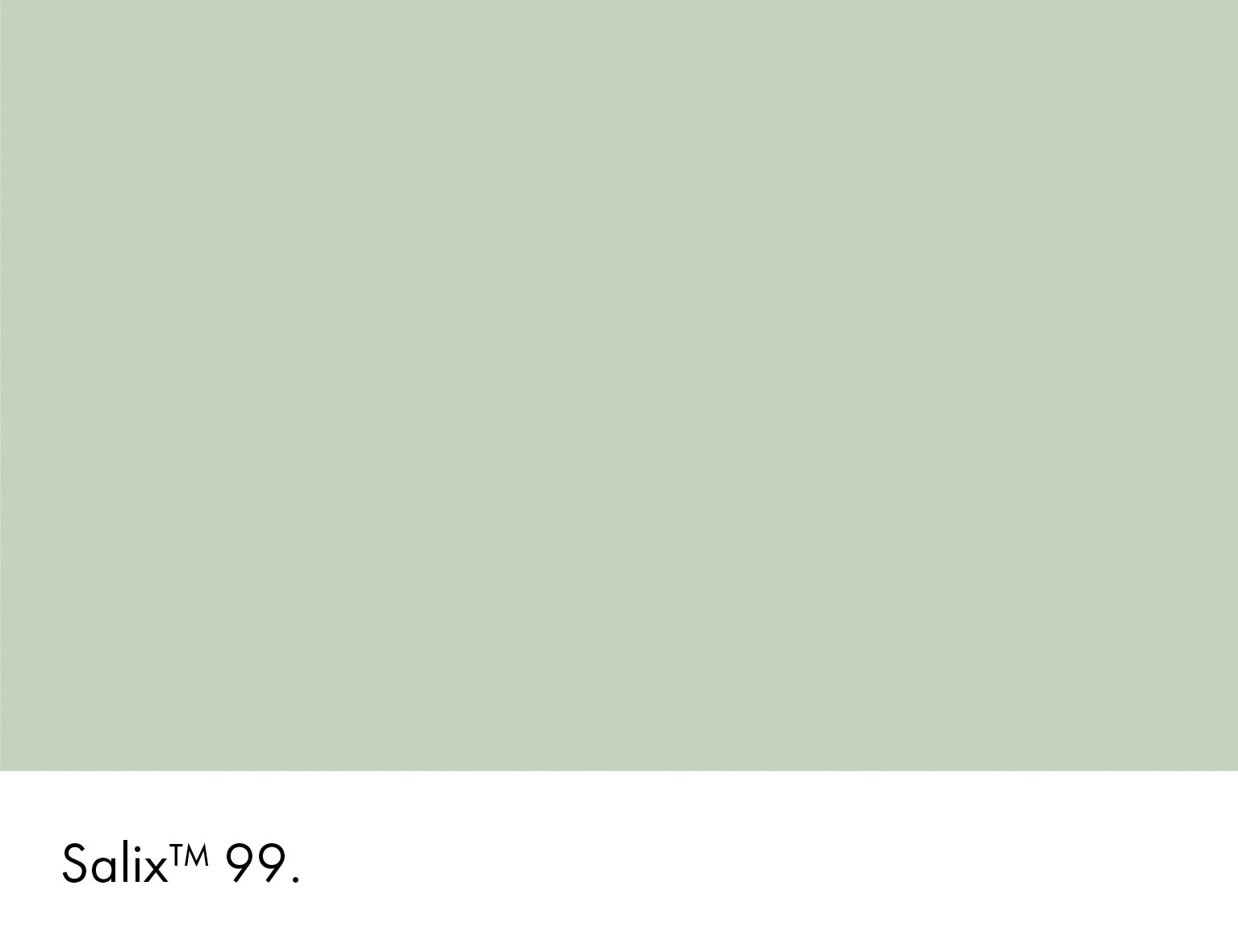 Salix Intelligent Masonry Paint Little Greene
