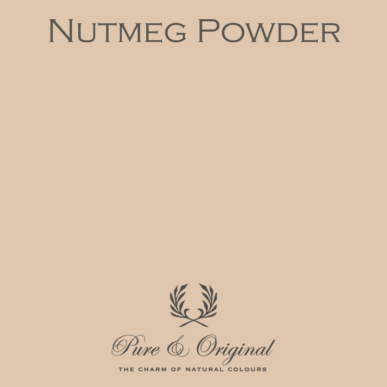 Nutmeg Powder Licetto (afwasbare verf) Pure & Original