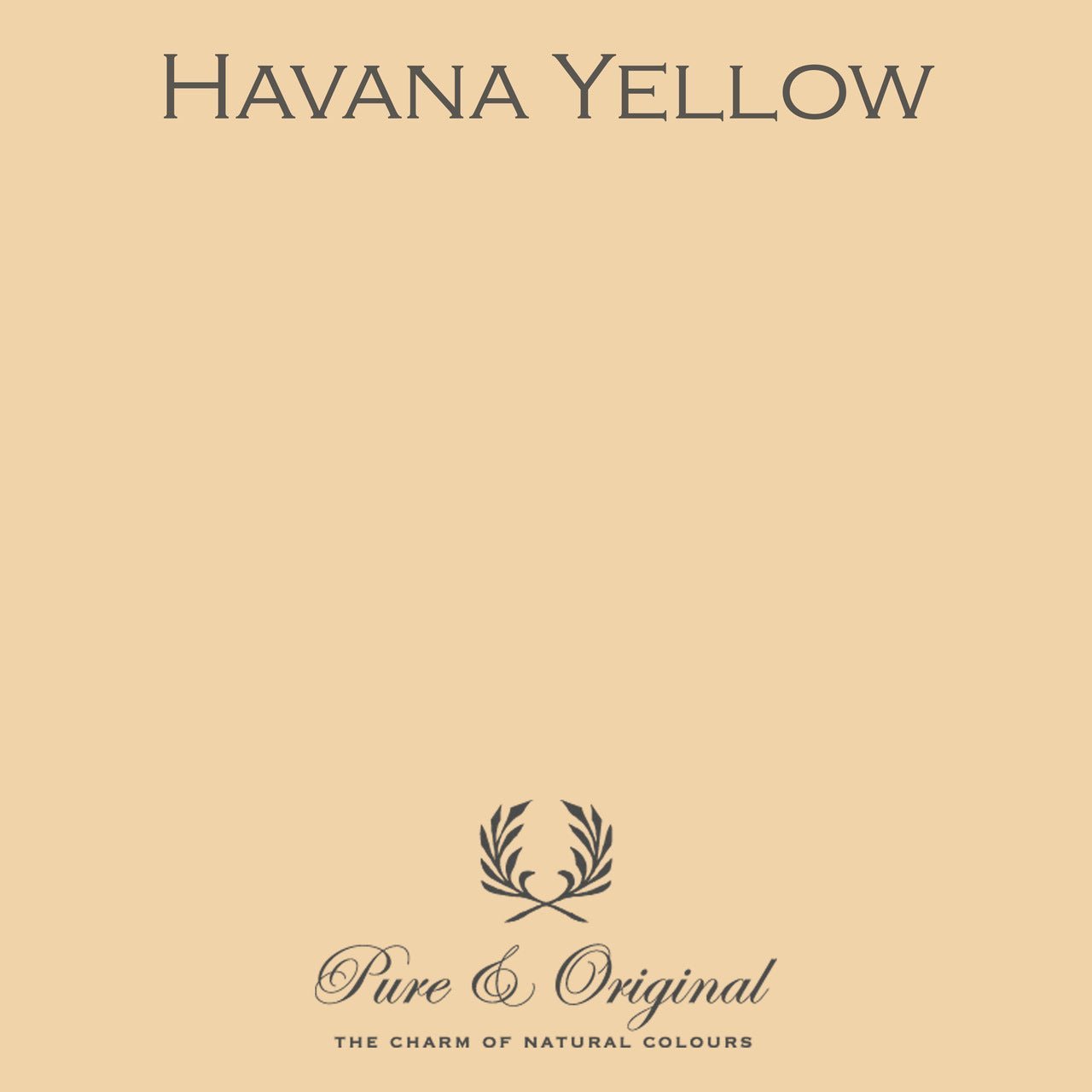 Havana Yellow Licetto (afwasbare verf) Pure & Original - Interieurenverf.nl
