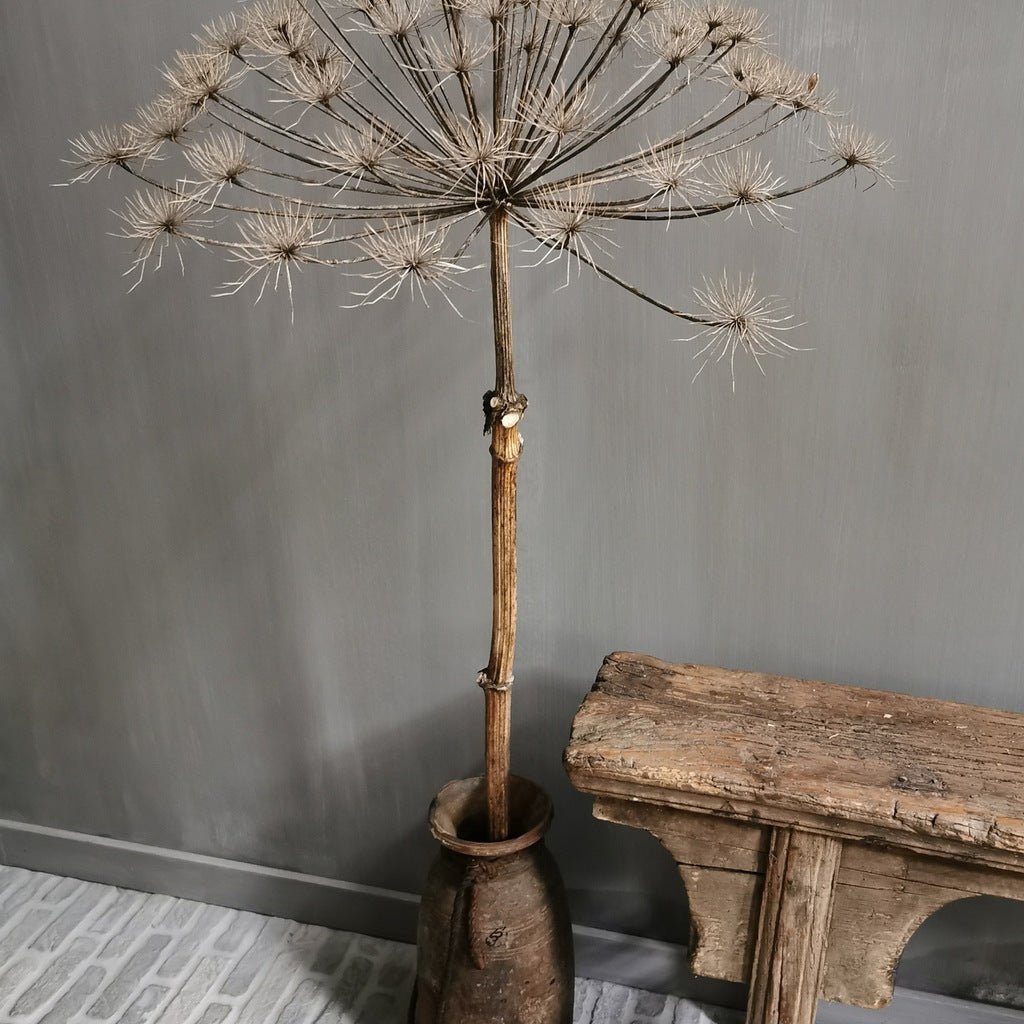 Kalkverf Mia Colore - Interieurenverf.nl