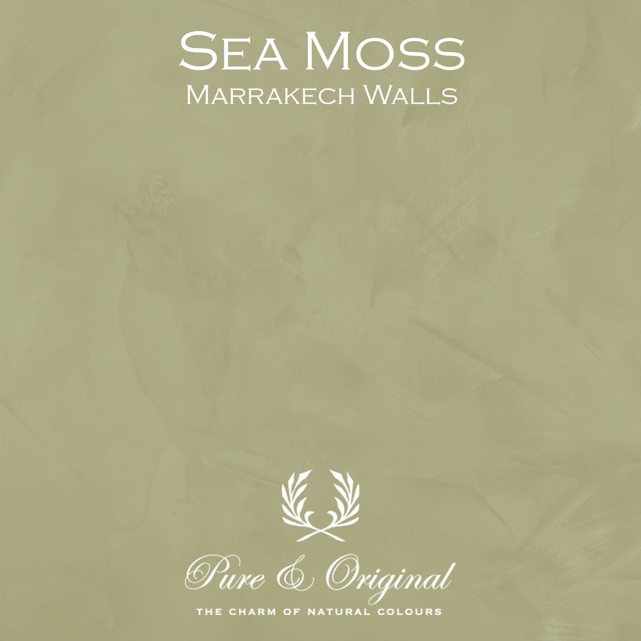 Sea Moss Marrakech Walls Pure & Original - Interieurenverf.nl
