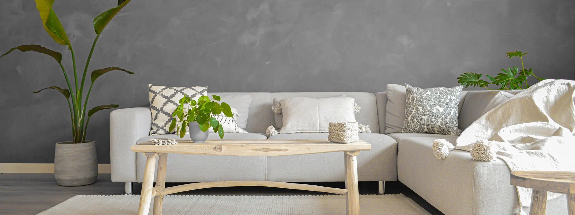 Wall Primer Pure & Original - Interieurenverf.nl