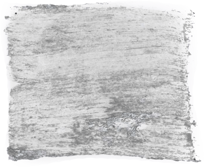 129. Kiezel Wallprimer Betonlookverf L'Authentique - Interieurenverf.nl