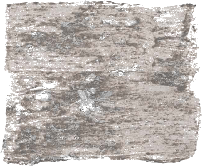 130. Zandsteen Wallprimer Betonlookverf L'Authentique - Interieurenverf.nl