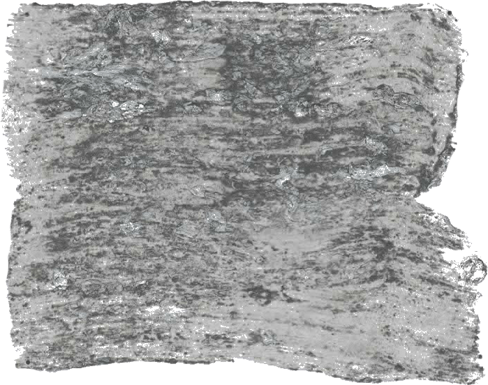 131. Graniet Wallprimer Betonlookverf L'Authentique - Interieurenverf.nl