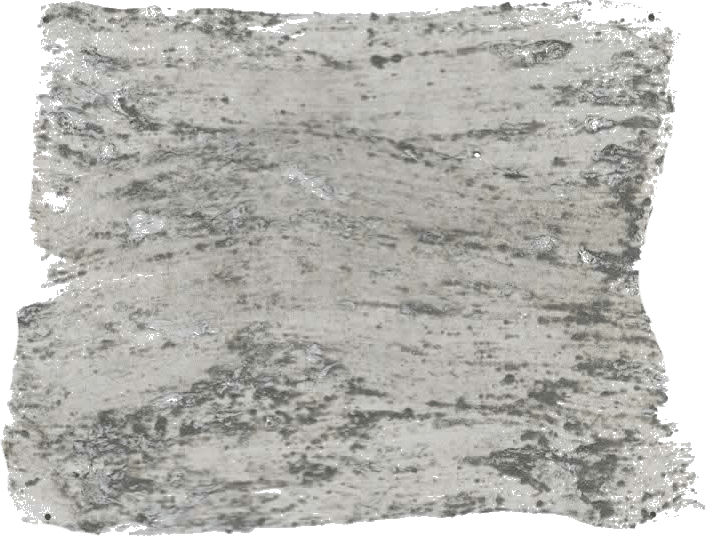 134. Army Wallprimer Betonlookverf L'Authentique - Interieurenverf.nl