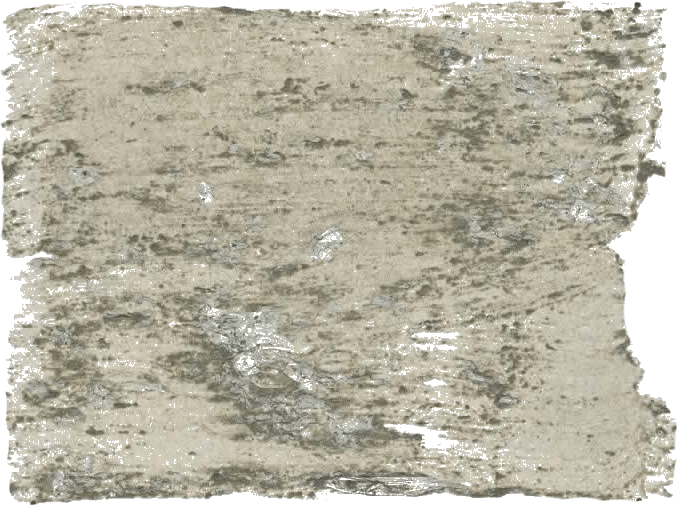 135. Oase Wallprimer Betonlookverf L'Authentique - Interieurenverf.nl