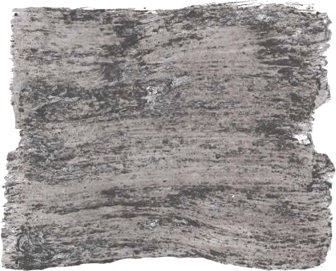139. Basalt Wallprimer Betonlookverf L'Authentique - Interieurenverf.nl