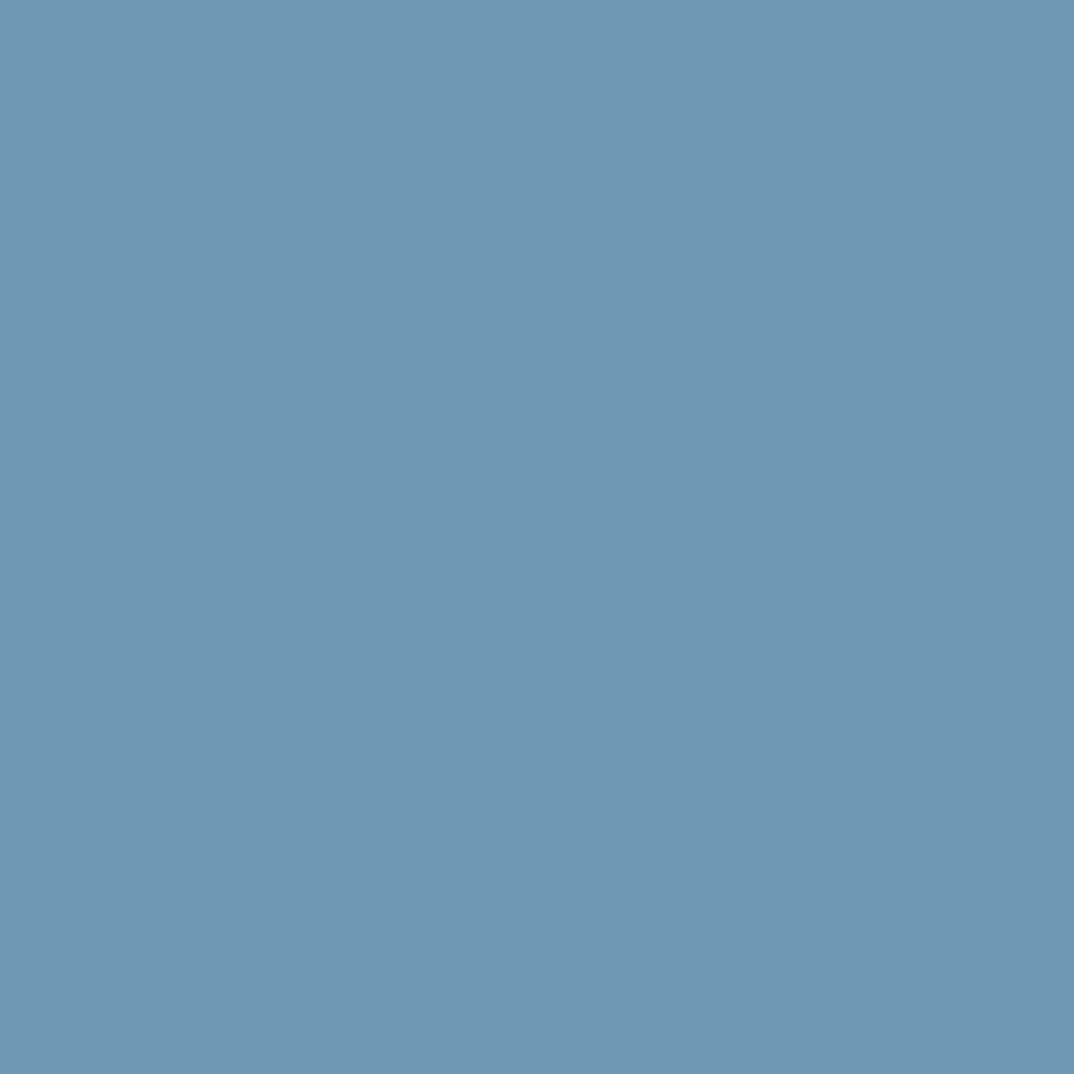 151 Copenhagen Blue Wall Primer Flamant