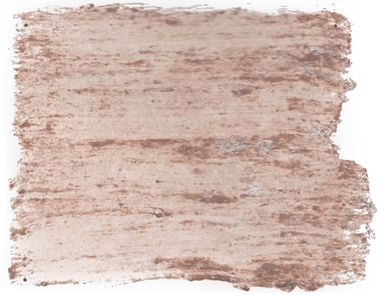 178. Instinct Wallprimer Betonlookverf L'Authentique - Interieurenverf.nl