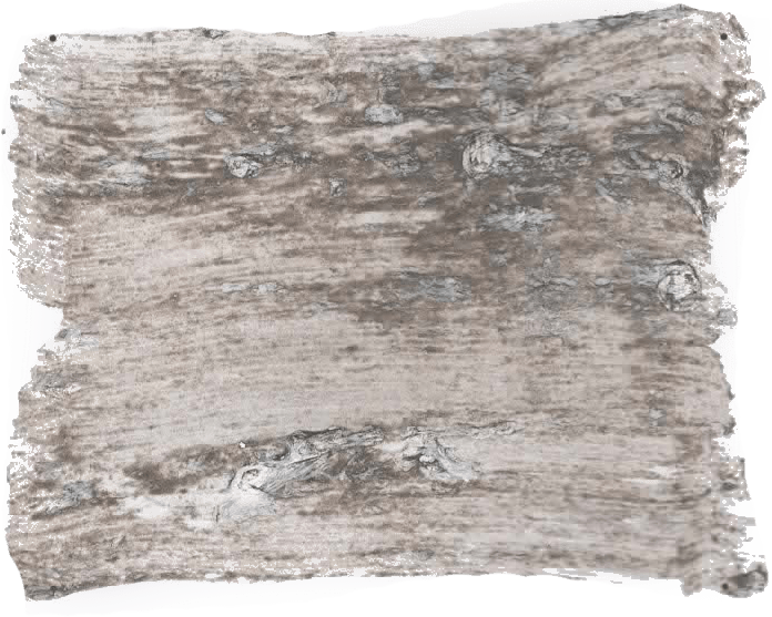 180. Rustic Wallprimer Betonlookverf L'Authentique - Interieurenverf.nl