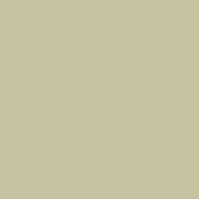 205. Cedar Matte Muurverf L'Authentique - Interieurenverf.nl