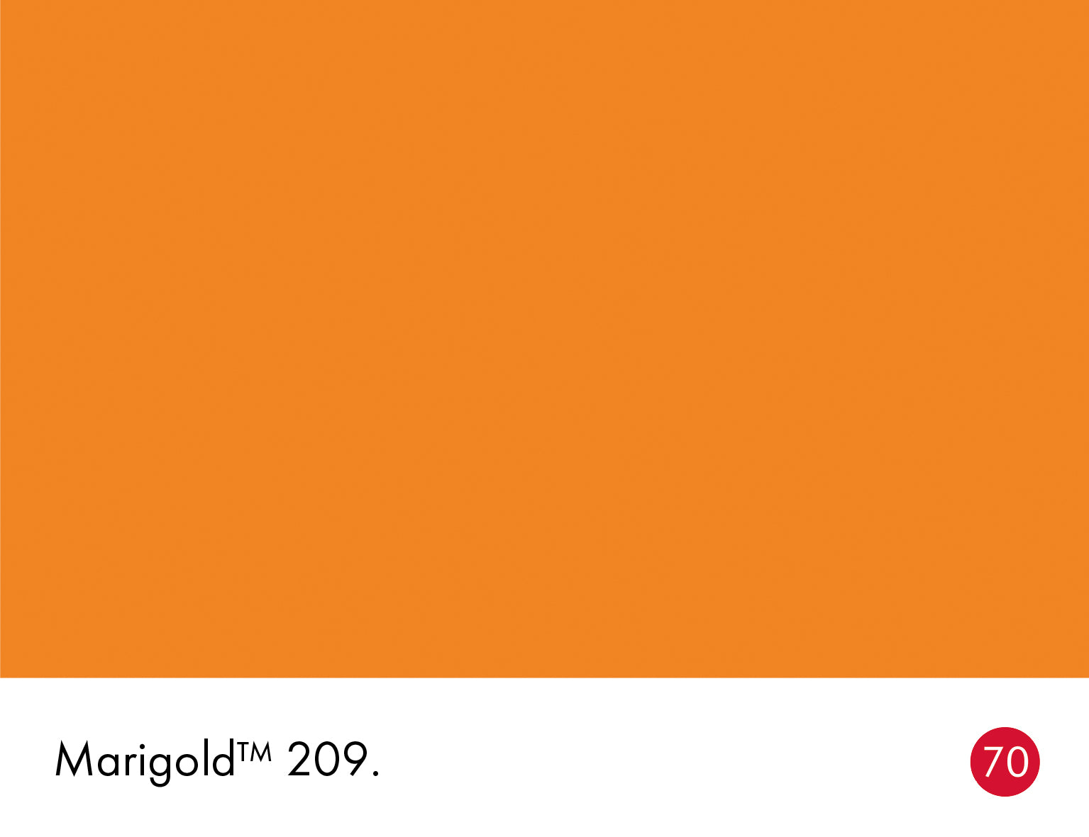 Marigold Intelligent Matt Emulsion Little Greene