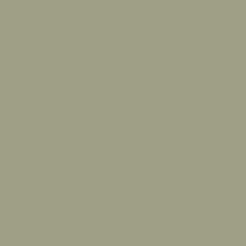 212. Olive Matte Muurverf L'Authentique - Interieurenverf.nl