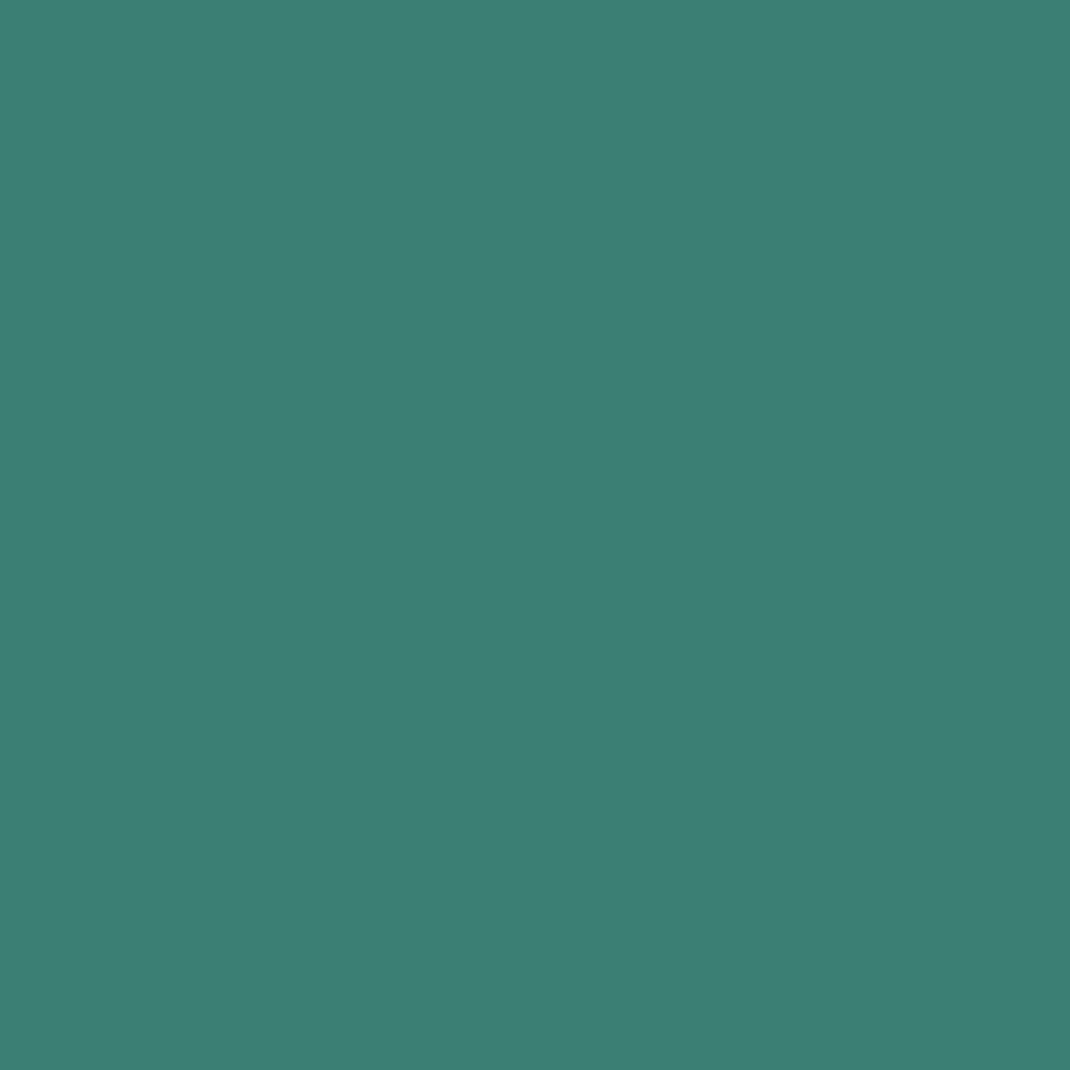 236 Peacock Wall Primer Flamant
