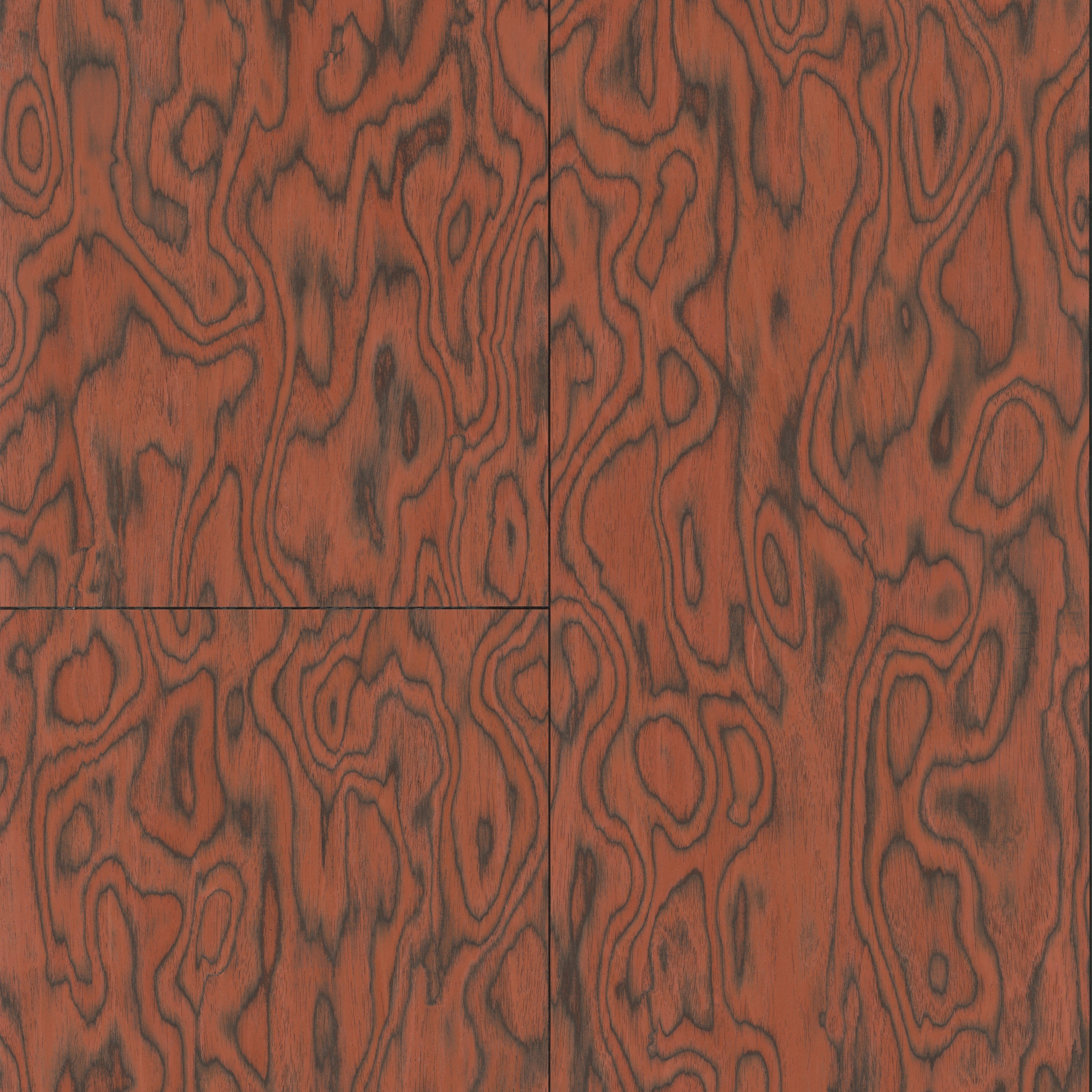 30800 Coti Embleme Arte - Interieurenverf.nl