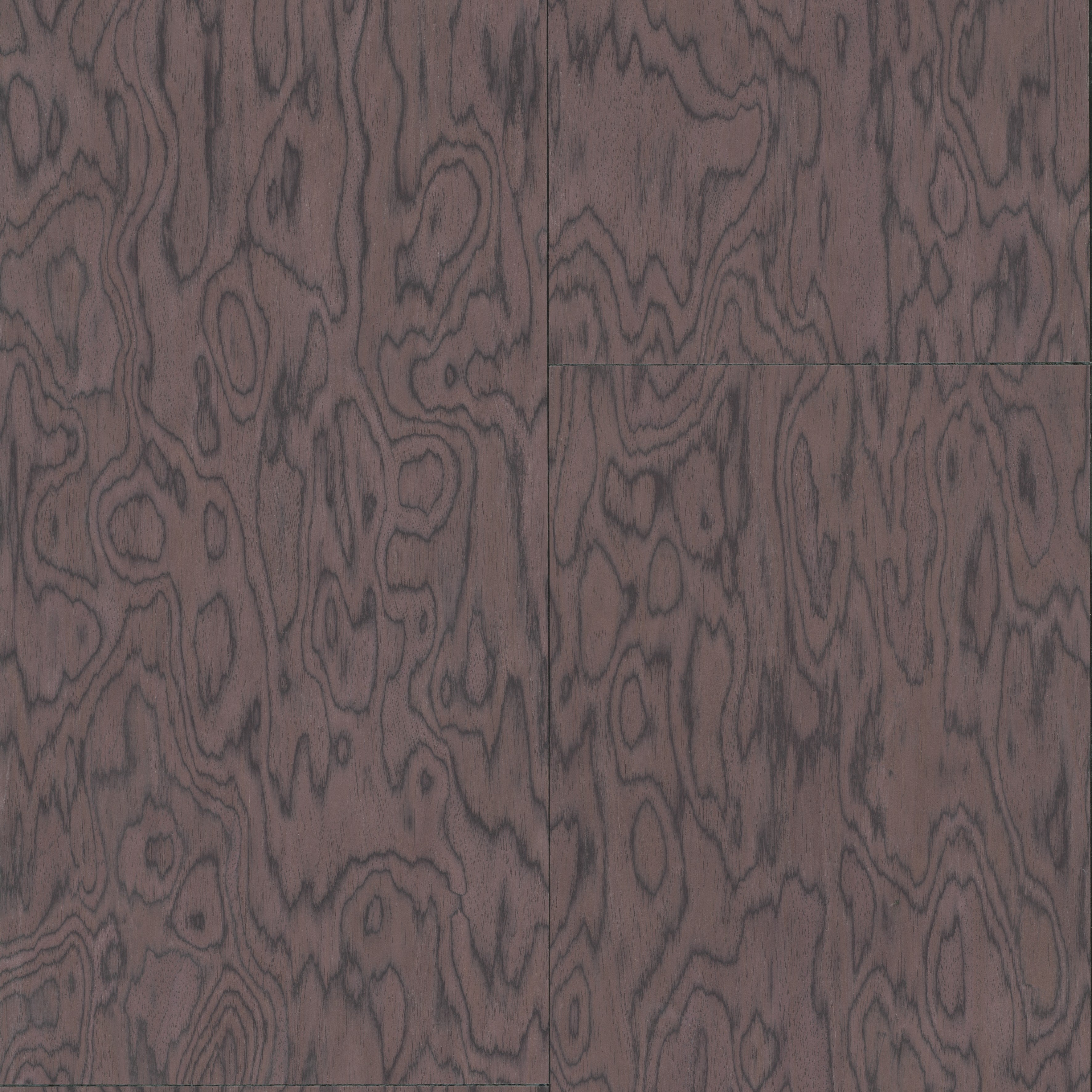 30803 Coti Embleme Arte - Interieurenverf.nl