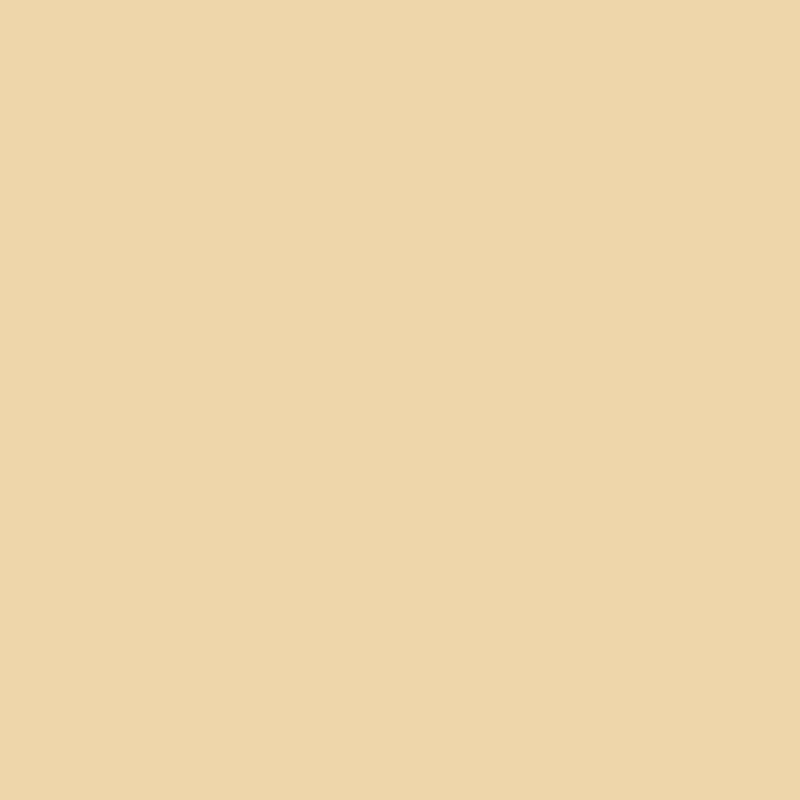 9.004 Lemon Pie Universale Primer (Lak) Mia Colore - Interieurenverf.nl