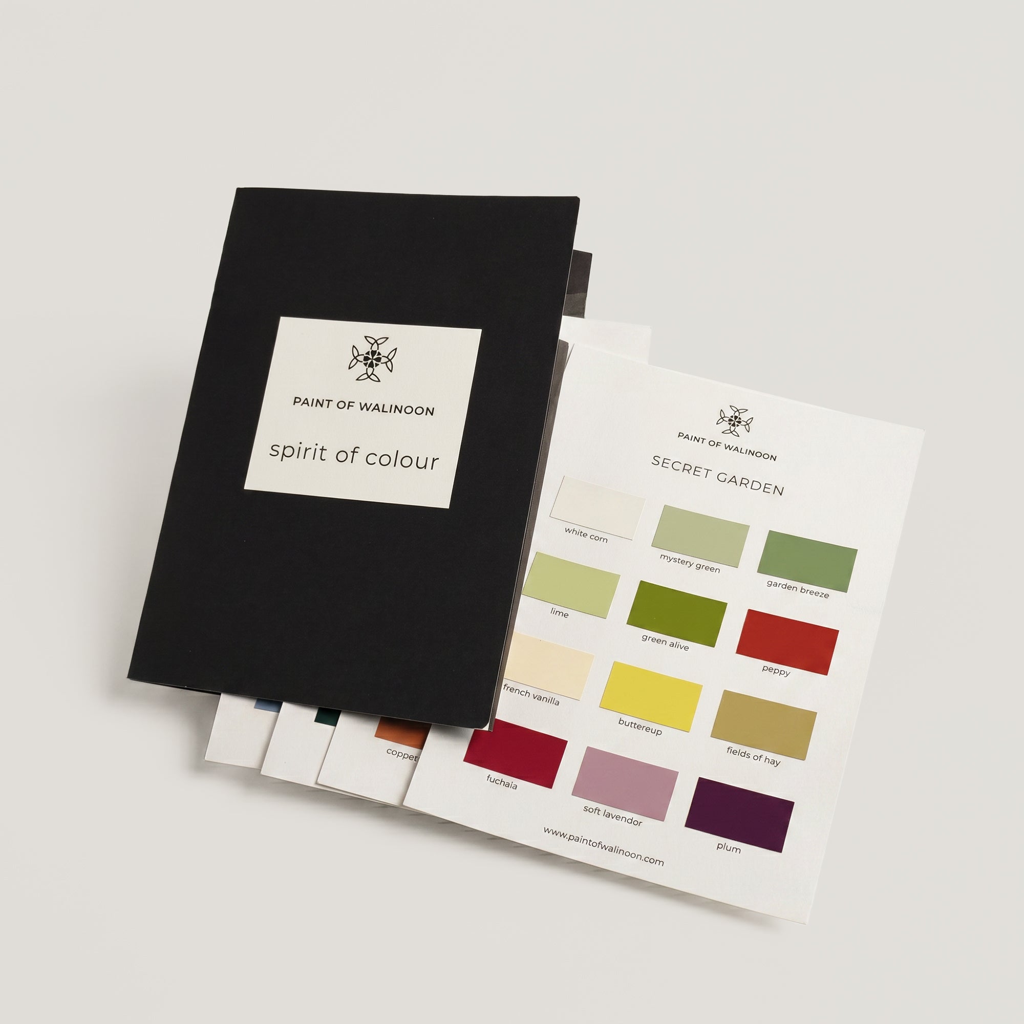 Kleurbrochures Paint of Walinoon