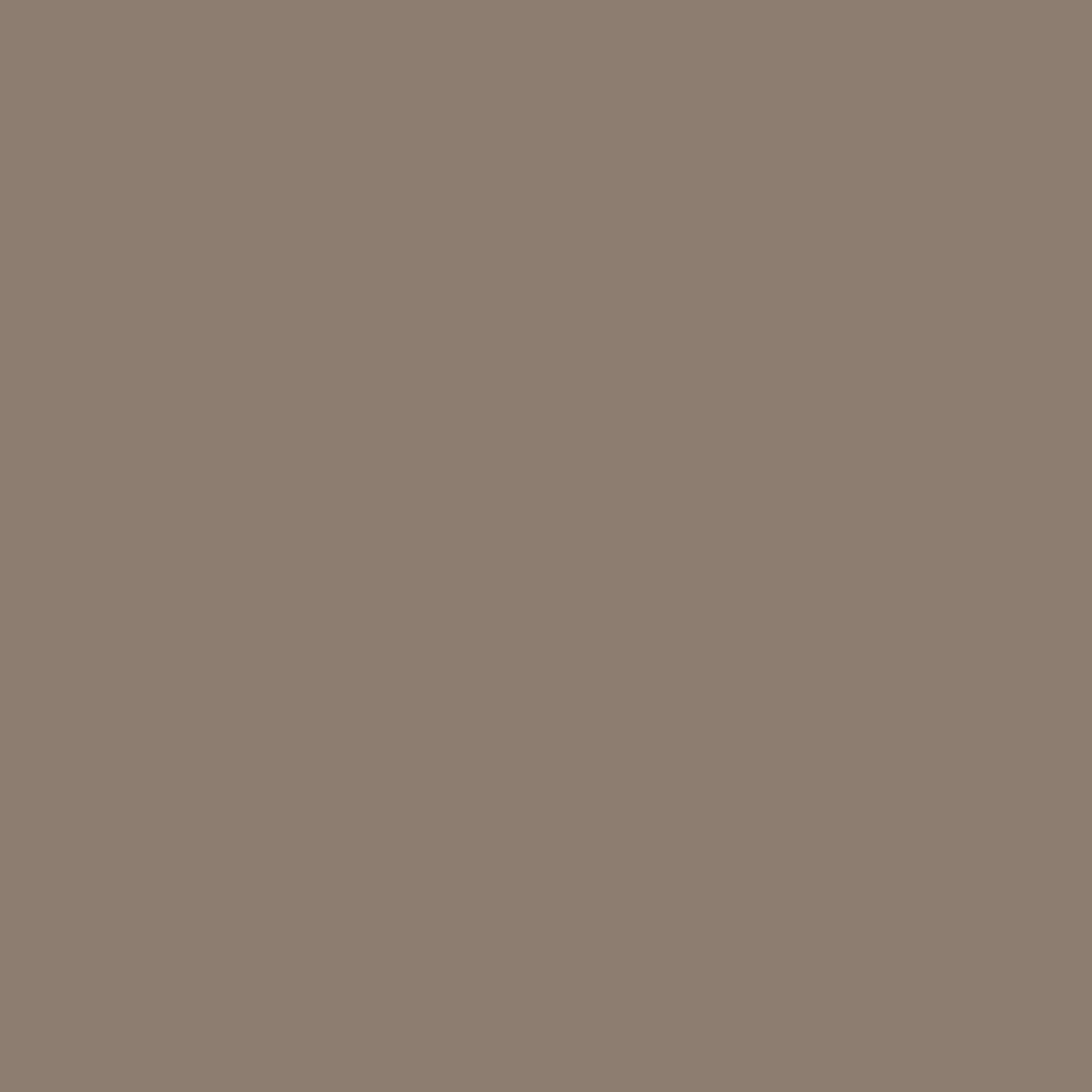 P14 Taupe Wall Matt Flamant - Interieurenverf.nl