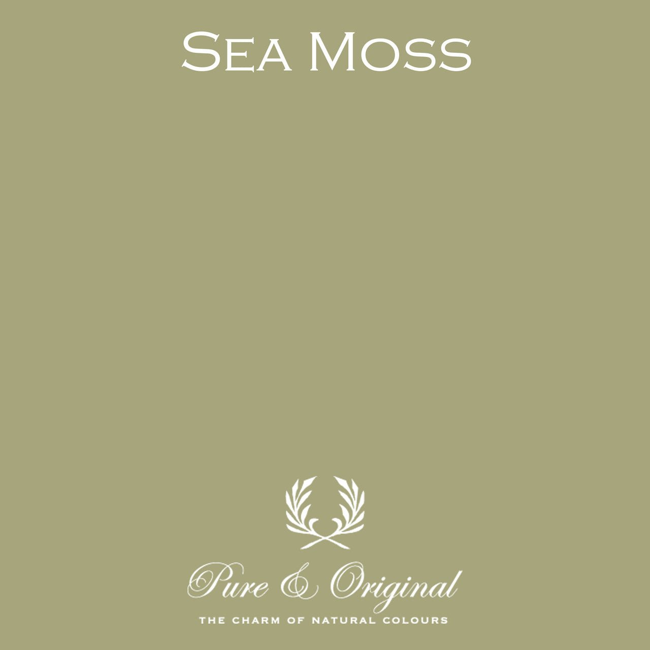Sea Moss Gevelverf Calx Kalei Pure & Original - Interieurenverf.nl